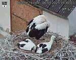 Capi_Dubne_20250706_154003.jpg