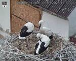 Capi_Dubne_20250706_155003.jpg