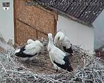 Capi_Dubne_20250706_160003.jpg