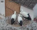 Capi_Dubne_20250706_164503.jpg