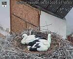 Capi_Dubne_20250706_175003.jpg