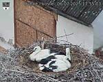 Capi_Dubne_20250706_175503.jpg