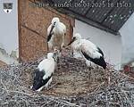 Capi_Dubne_20250706_181503.jpg