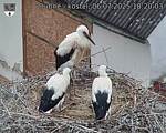Capi_Dubne_20250706_182003.jpg