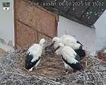 Capi_Dubne_20250706_183502.jpg