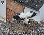 Capi_Dubne_20250706_193003.jpg