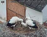 Capi_Dubne_20250706_194003.jpg