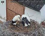 Capi_Dubne_20250706_195503.jpg