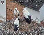 Capi_Dubne_20250706_203503.jpg