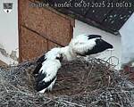 Capi_Dubne_20250706_210003.jpg