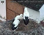 Capi_Dubne_20250706_210503.jpg