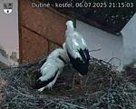Capi_Dubne_20250706_211503.jpg