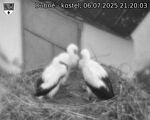 Capi_Dubne_20250706_212003.jpg