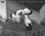 Capi_Dubne_20250706_213003.jpg