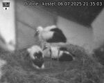 Capi_Dubne_20250706_213503.jpg