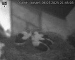Capi_Dubne_20250706_214503.jpg