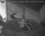 Capi_Dubne_20250706_215003.jpg
