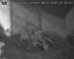 Capi_Dubne_20250706_220003.jpg
