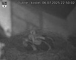 Capi_Dubne_20250706_225002.jpg