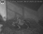 Capi_Dubne_20250706_225503.jpg