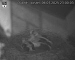 Capi_Dubne_20250706_230003.jpg