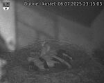Capi_Dubne_20250706_231503.jpg