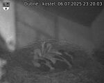 Capi_Dubne_20250706_232003.jpg