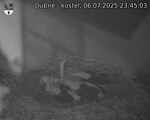 Capi_Dubne_20250706_234503.jpg
