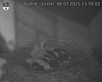 Capi_Dubne_20250706_235002.jpg