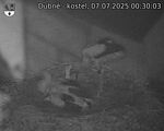 Capi_Dubne_20250707_003003.jpg