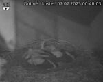 Capi_Dubne_20250707_004003.jpg