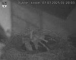 Capi_Dubne_20250707_012003.jpg