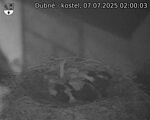 Capi_Dubne_20250707_020003.jpg