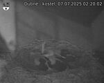 Capi_Dubne_20250707_022002.jpg