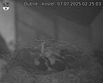 Capi_Dubne_20250707_022503.jpg
