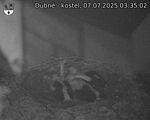 Capi_Dubne_20250707_033502.jpg