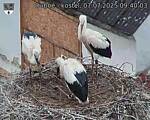 Capi_Dubne_20250707_094003.jpg