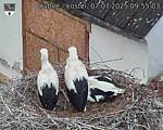 Capi_Dubne_20250707_095503.jpg