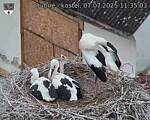 Capi_Dubne_20250707_113503.jpg