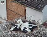 Capi_Dubne_20250707_125003.jpg