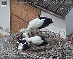 Capi_Dubne_20250707_131003.jpg
