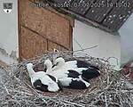Capi_Dubne_20250707_141002.jpg