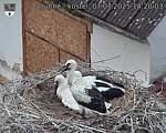 Capi_Dubne_20250707_142003.jpg
