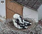 Capi_Dubne_20250707_142503.jpg