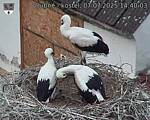 Capi_Dubne_20250707_144003.jpg
