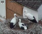 Capi_Dubne_20250707_144502.jpg
