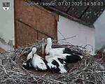 Capi_Dubne_20250707_145003.jpg
