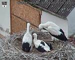 Capi_Dubne_20250707_151003.jpg