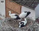 Capi_Dubne_20250707_153003.jpg