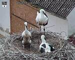 Capi_Dubne_20250707_162503.jpg